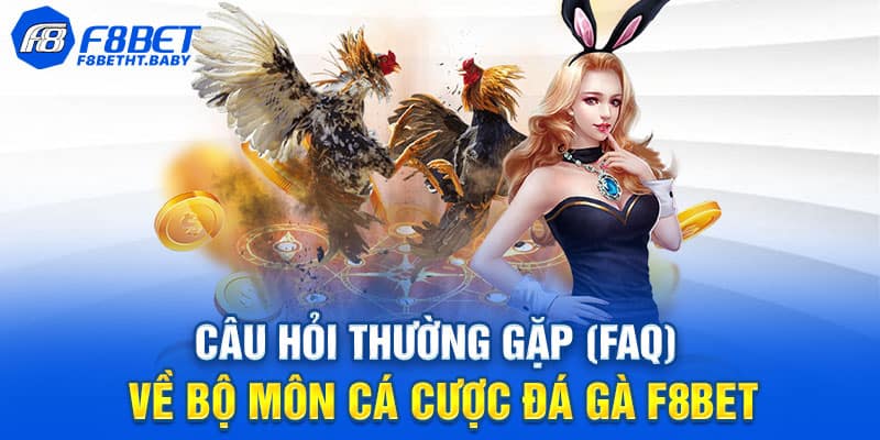 Diễn đàn gà đá F8bet - Hội tụ đam mê cùng các sư kê lão luyện
