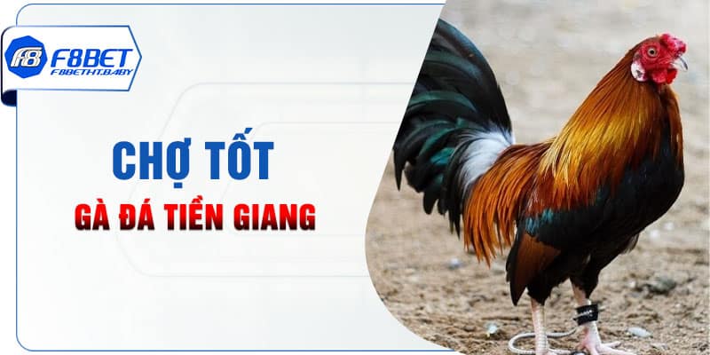 Chợ Tốt, gà đá Tiền Giang