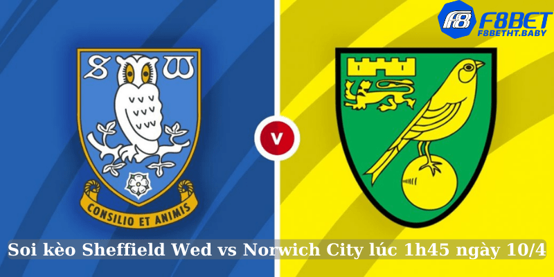 Soi kèo Sheffield Wed vs Norwich City lúc 1h45 ngày 10/4